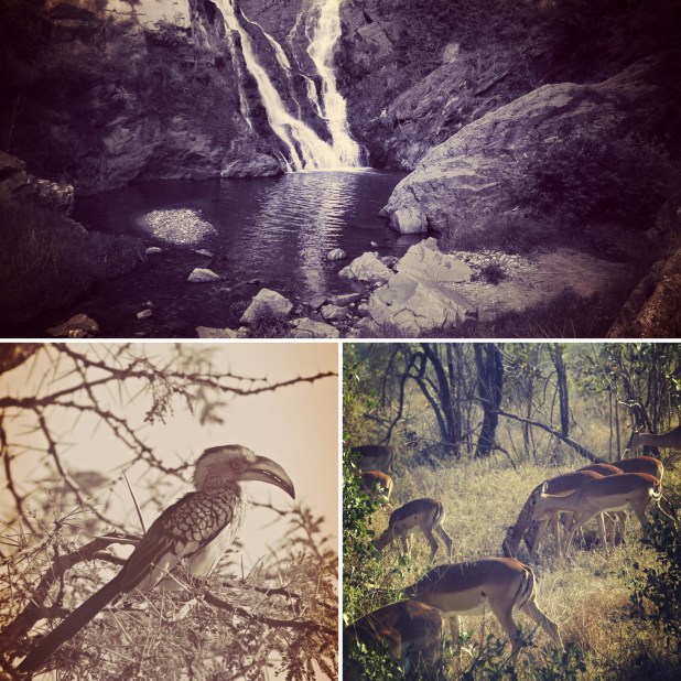 28de91c7-ddb1-4bde-8d57-139ce3fdac31