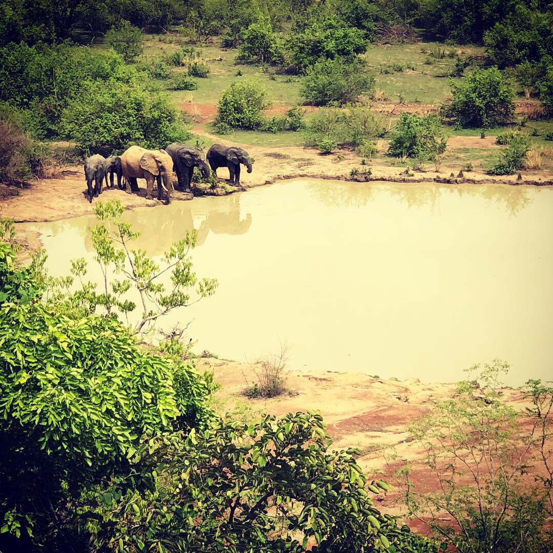 1c0e9bb2-026d-4bfc-b3d5-60856bfb7763-1